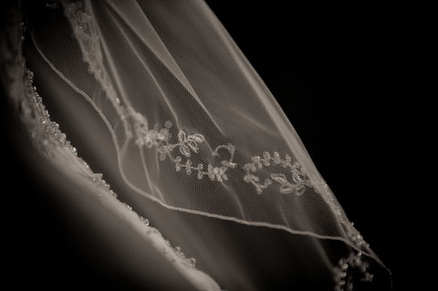 embroidered veil