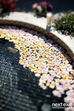 Flower-Petals-in-Fountain