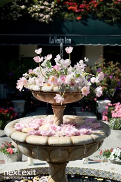 Flowers-in-Fountain