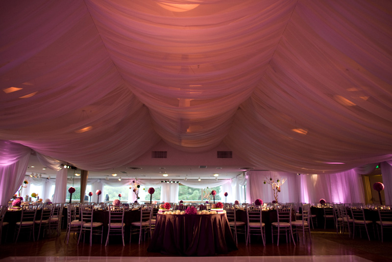 purple tented room
