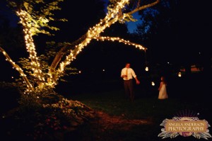 Wedding Twinkle Lights