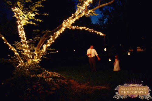 Wedding Twinkle Lights