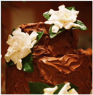 chocolate-cake-with-white-flowers