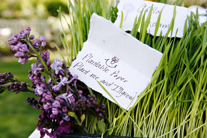 heather-wheatgrass-lilacs