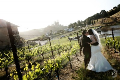 sonoma-wine-country-wedding-19