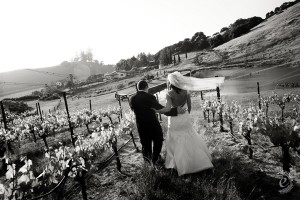 sonoma-wine-country-wedding-31