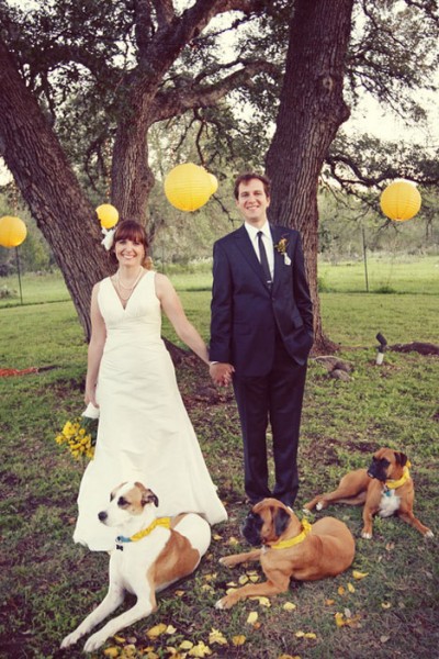 bride-and-groom-with-dogs-yellow-diy-wedding