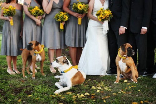 gray-and-yellow-wedding-bridesmaids