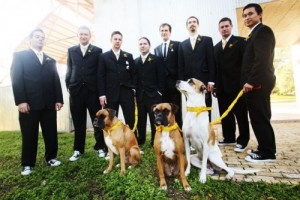 groomsmen-and-dogs