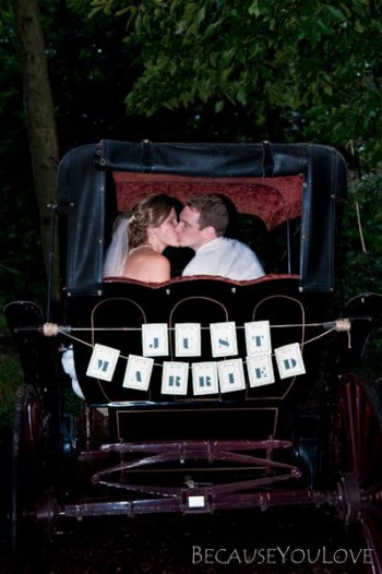 just-married-sign-on-carriage