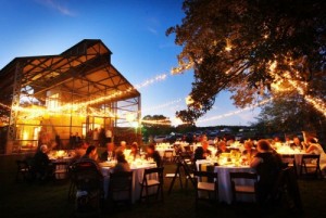 outdoor-wedding-reception-lights-strung-from-trees