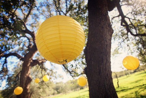 yellow-paper-lanterns-hung-from-trees