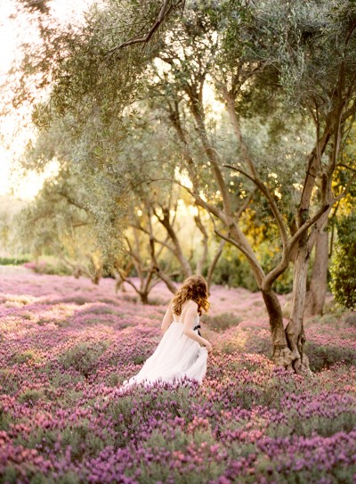 bride-lavender-field