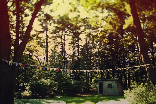 bunting-in-trees