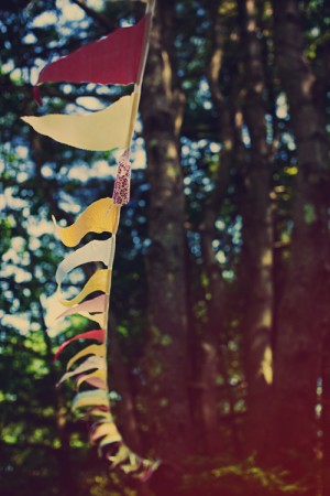 bunting-strung-from-trees-wedding-ideas