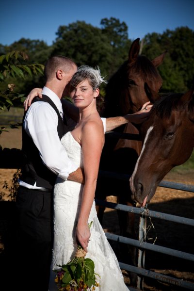 farm-horse-wedding-photos