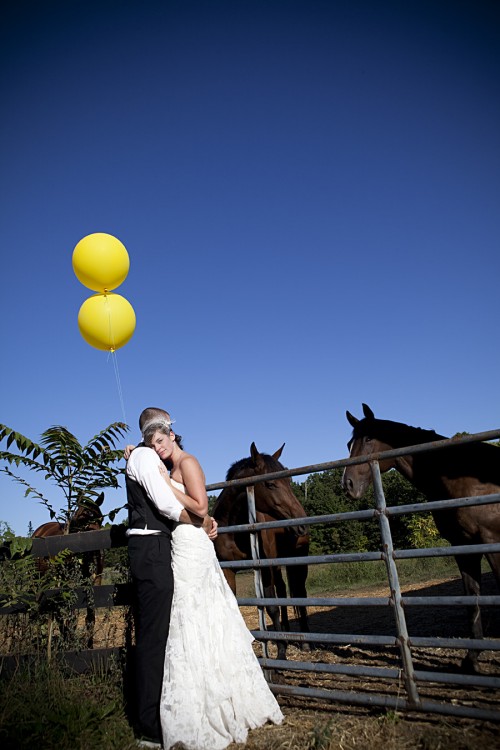 horse-farm-wedding-photos