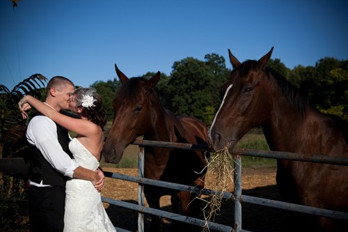 horse-farm-wedding-shoot