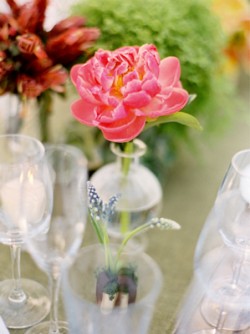 single-flower-in-glass-vase