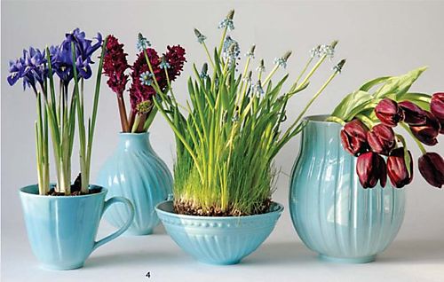 flowers-in-light-blue-vases