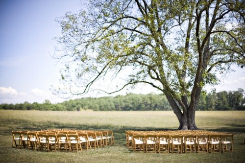 outdoor-wedding-ceremony-under-tree