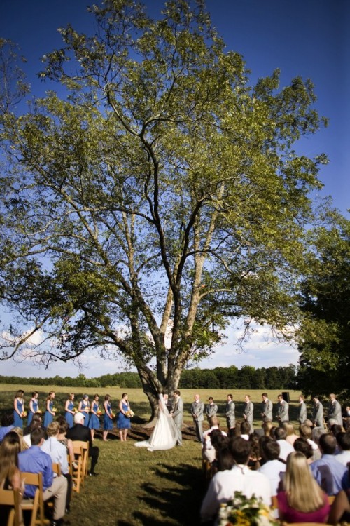 wedding-ceremony-under-tree