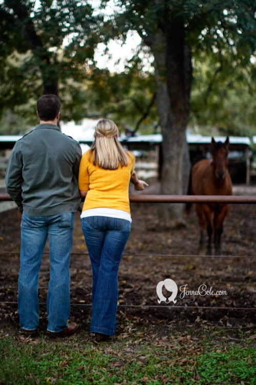 horses-engagement-photos