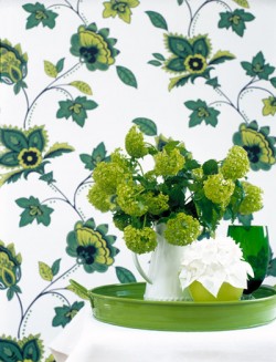 blue-and-green-decorative-wallpaper