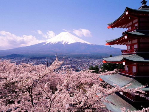 cherry_blossoms_and_mount_fuji_japan