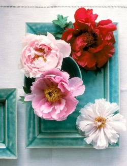 flowers-on-turquoise-plate