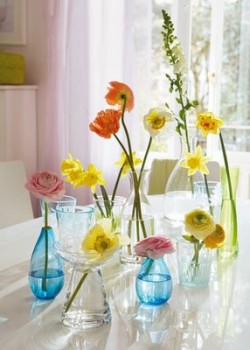 single-flowers-in-vases