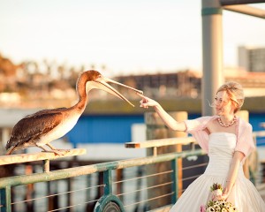 Bride-and-Seagull