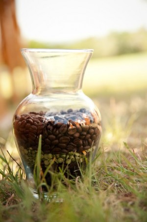 Coffee Beans in Vase