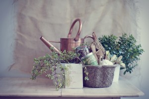 Mothers-Day-Gift-Ideas-Gardening