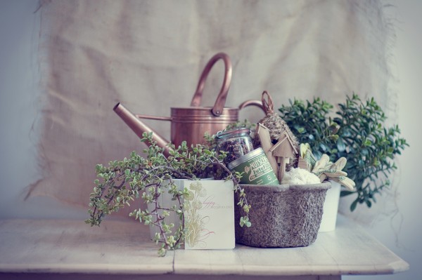 Mothers Day Gift Ideas Gardening