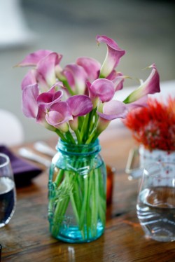 Purple Calla Lillies in Blue Mason Jar