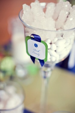 Blue and White Candy Buffet Wedding