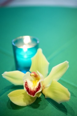 single-green-orchid-centerpiece