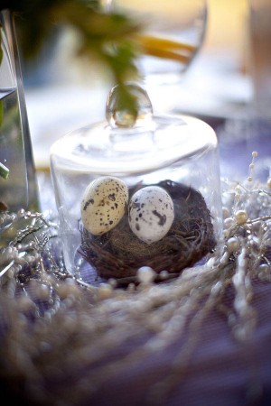 Birds Nest Wedding Decor