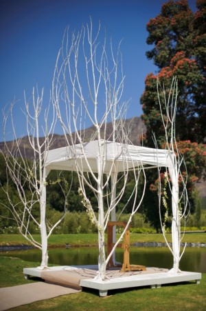 Branch Wedding Ceremony Altar
