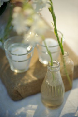 Flowers in Jars and Vases