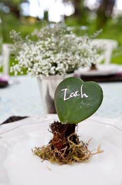 Heart-Shaped Succulent Place Setting