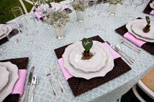 Succulent and Moss Place Setting