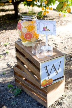 Citrus-Water-Station