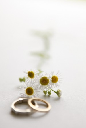 Daisy-Wedding-Ring-Shot