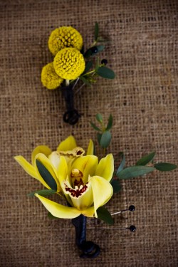 Yellow-Orchid-Boutonniere