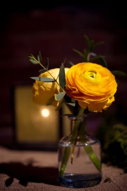 Yellow-Ranunculus-Bud-Vase