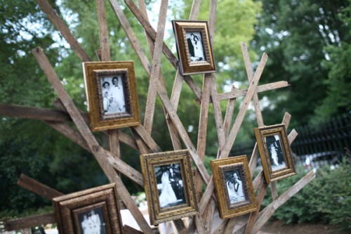 DIY-Tree-Photo-Display