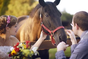 Horse-Farm-Wedding