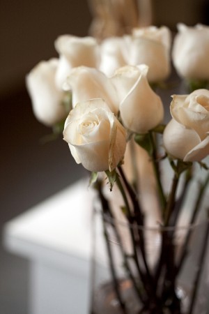 White-Long-Stemmed-Roses